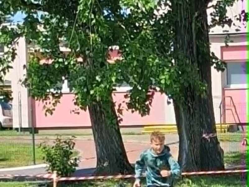 Atletické mistrovství škol