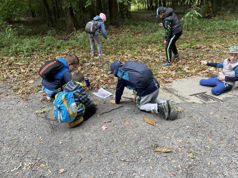 Tvoření zvířátek 