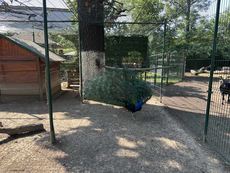 1.tř